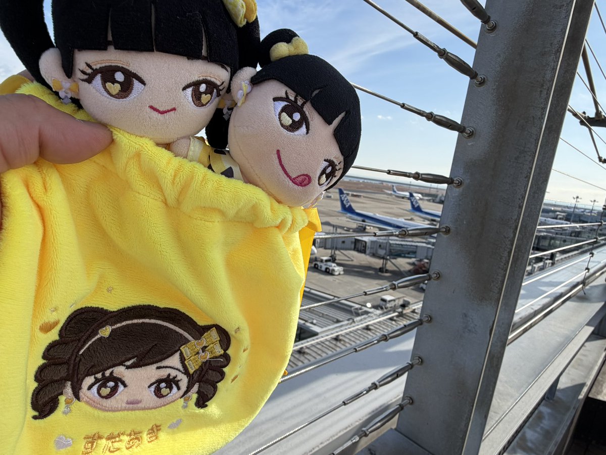 2025年終了！ あきちゃん、楽しくて楽しくて楽しかった1年をありがとう