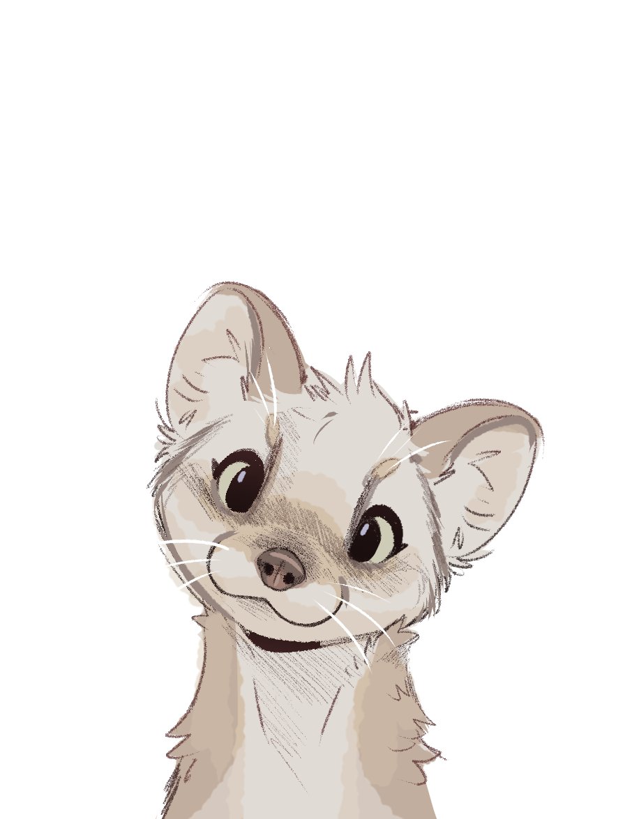 Feve 🔜 Anthrocon tweet media