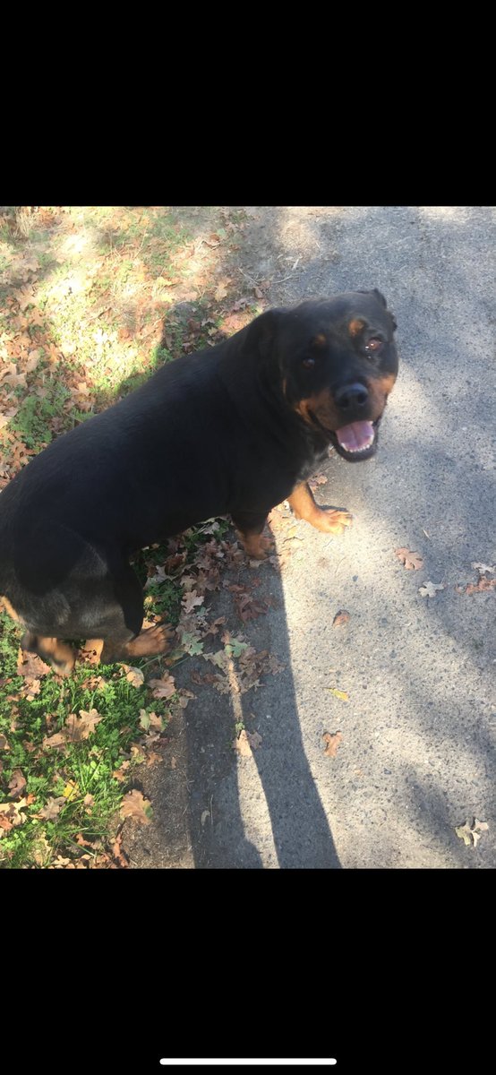 Still don’t know what i’m doing tweet media