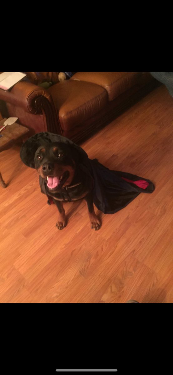 Still don’t know what i’m doing tweet media