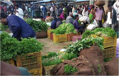 GHMCOnline's tweet photo. 🌸#ThrowbackHyderabad | Gudimalkapur Wholesale Market 🌸

Did you know Telangana’s largest wholesale flower market carries a legacy that spans nearly a century?

    More than just a flower market, #Gudimalkapur is a bustling wholesale hub where multiple trades, livelihoods, and generations of commerce come together every day. 

The wholesale market traces its origins to 1935 during the Nizam era at Jambagh near Mozzam Jahi Market. With Hyderabad’s expansion, it was relocated in 2009 to Gudimalkapur Wholesale Flower Market, enabling organised trade, better access, and expanded market activity.

Spread across 8 acres, the market today supports a diverse trading ecosystem:
🟢 195 wholesale flower stalls.
🟢 500 retail vegetable stalls.
🟢 13 market halls serving farmers and traders.
🟢 Seasonal vendors adding to daily market activity.

    Adding historical depth to this active marketplace is the revival of the Kumandan Bowli, a 19th-century stepwell within the market precinct, reconnecting modern trade with Hyderabad’s water heritage. Gudimalkapur stands as a unique urban space where diverse commerce and heritage coexist, continuing to play a vital role in the city’s wholesale economy.

#HyderabadThenAndNow #MarketsOfHyderabad

@TelanganaCMO  
@IPRTelangana 
@CommissionrGHMC