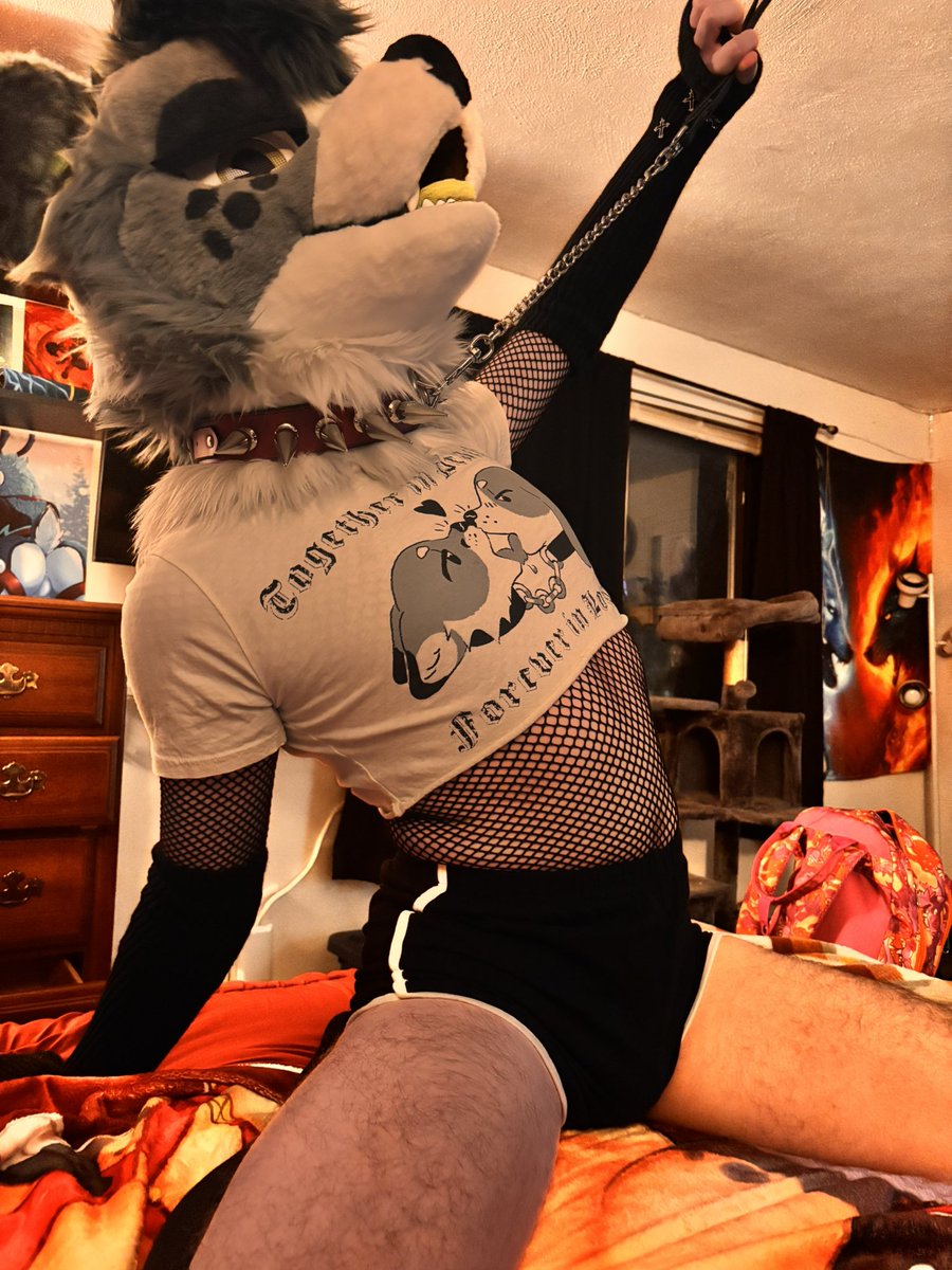 Charpuppy ⭐️🔜 FCL, MP? tweet media