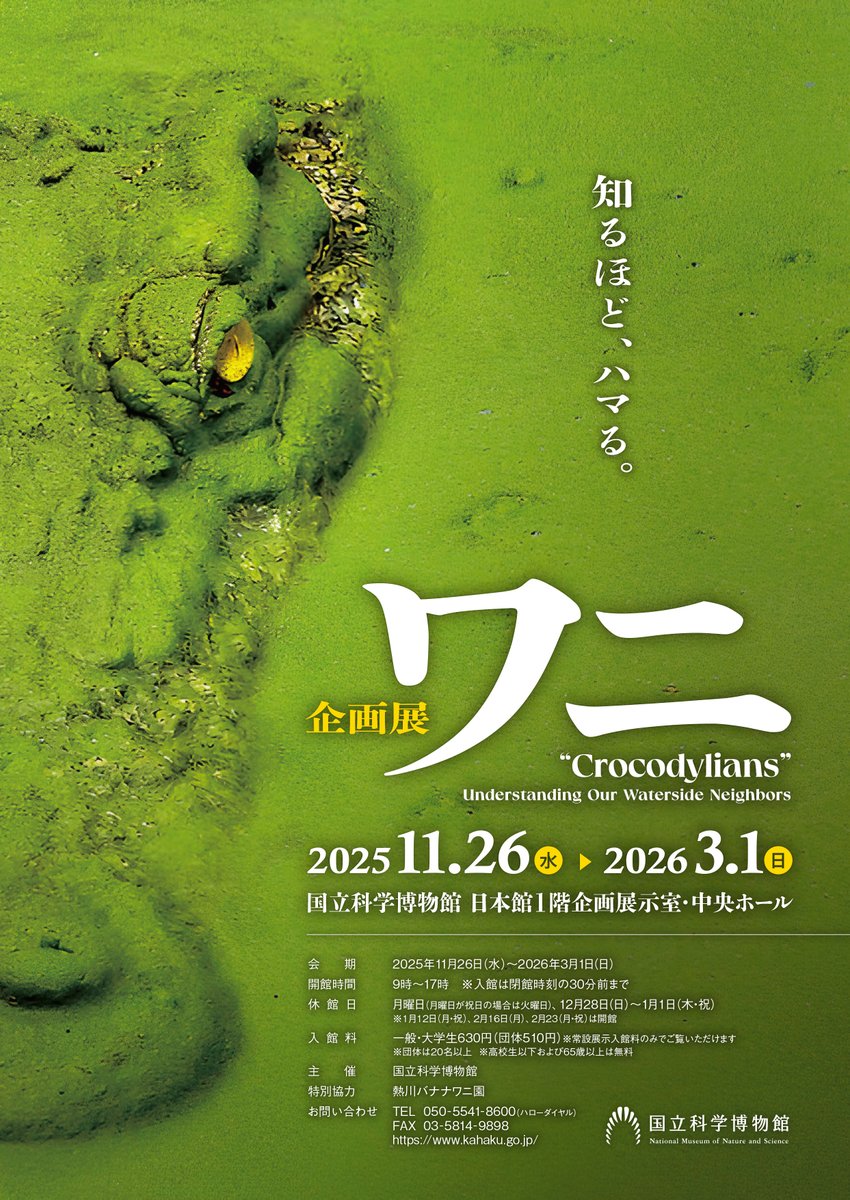 Fukuinkan_PR's tweet image. 東京都上野の国立科学博物館で、2026年の3月1日(日)まで、企画展「ワニ」が開催中です🐊✨
本企画展の監修には、福音館が刊行する絵本『イリエワニ』の著者・福田雄介さんが参加されています。ワニ好き、爬虫類好き必見の企画展です、ぜひ足を運んでみて下さい！
kahaku.go.jp/event/nid00001…