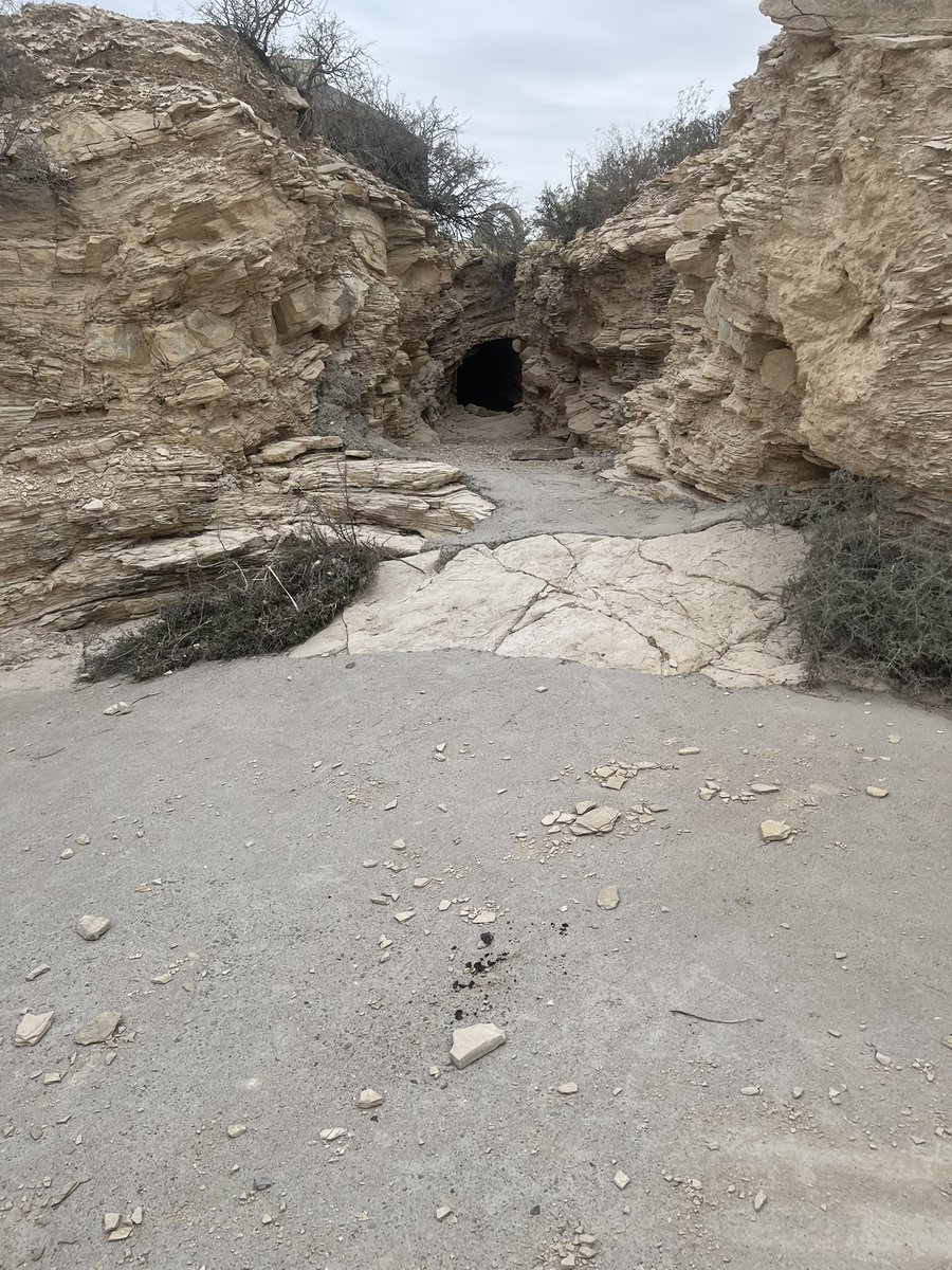 I looked into that wretched place, that horrid blackness and knew, just knew, that that thing was looking back at me. 

It could see me. And it showed me its pristine teeth like a lure used to draw in feeble fish. 

And standing in that dried riverbed, I knew I was only a fish.