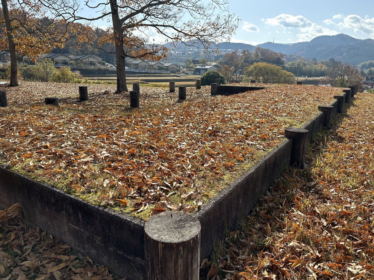 大晦日 -^-^ *･.° ⭐︎

今年も残すところあと僅かとなりました。

2025年"かわたる" のアカウントをご覧いただき、ありがとうございました！

心より感謝申し上げます。

皆様よいお年をお迎えください🎍

来たる新年が皆様にとって素敵な一年になることを心よりお祈り申し上げます。