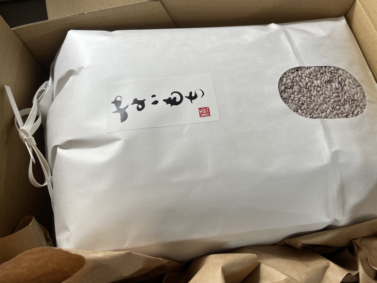 今年度のラスト販売✨
やよいもち✨

来年は、正月明けからとなります。
ご注文はこちら
nogikunosato.shop-pro.jp

よろしくお願いします👍