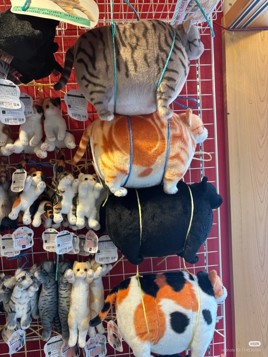 TheCatsX's tweet image. CHONKY CAT PLUSH