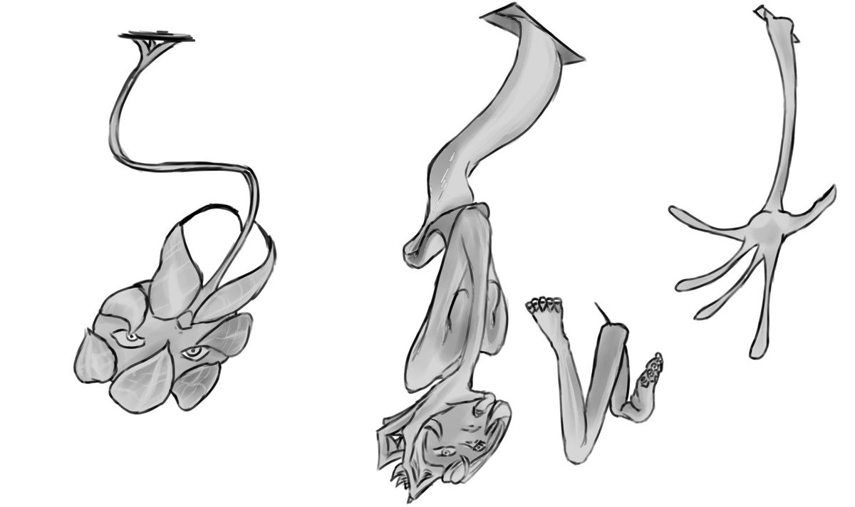 MorphFlex99🇵🇪 tweet media