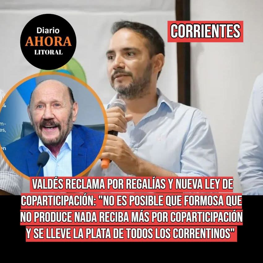 #CORRIENTES - Valdés reclama por regalías y nueva ley de coparticipación: "No es posible que Formosa que no produce nada reciba más por coparticipación y se lleve la plata de todos los correntinos". Más información en diarioahora.com.ar