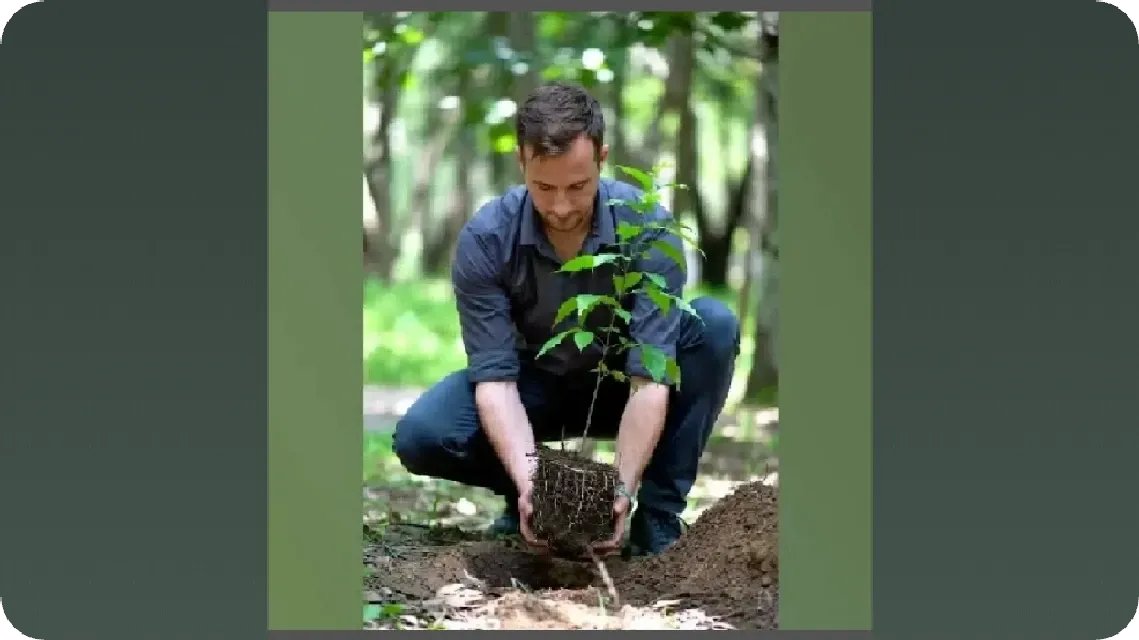 Elcat5's tweet image. This image says it all 🌿
It starts with you. Make a difference.

View the post 👉 app.ecox.network/community/post…
Earn GREEN on ECOX Network while you act:
app.ecox.network/register?refCo…

#ECOX #GREEN #ECO_TO_EARN