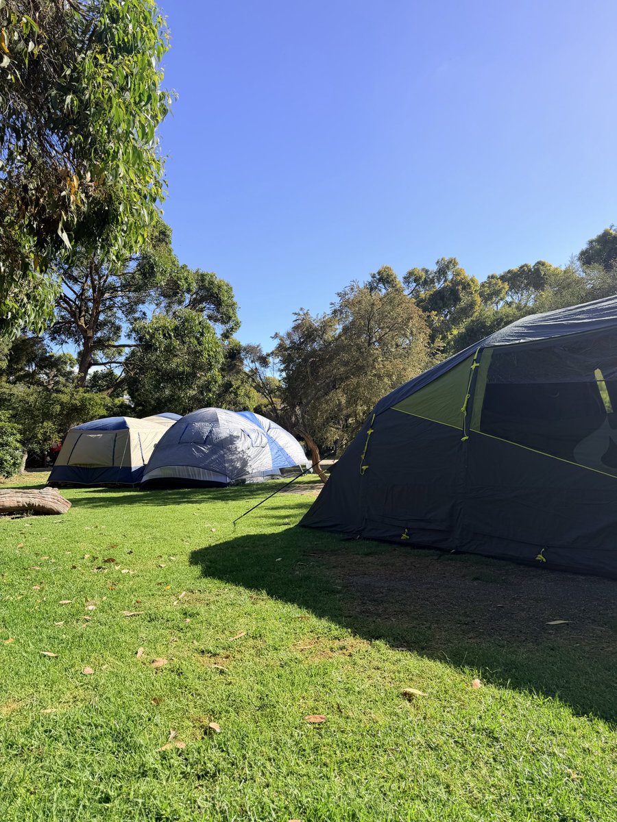 Jasmin ᵕ̈ tweet media