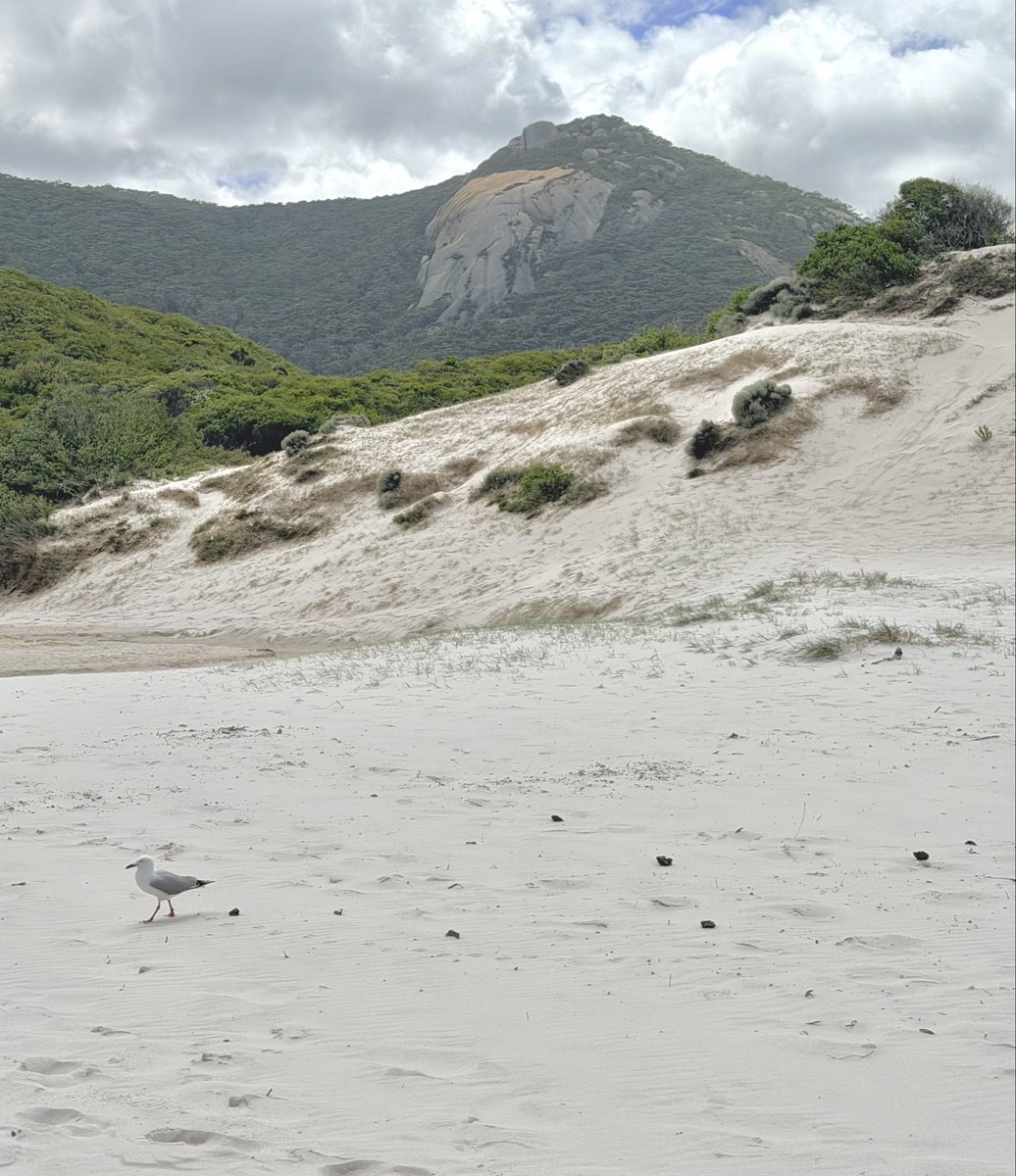 Jasmin ᵕ̈ tweet media