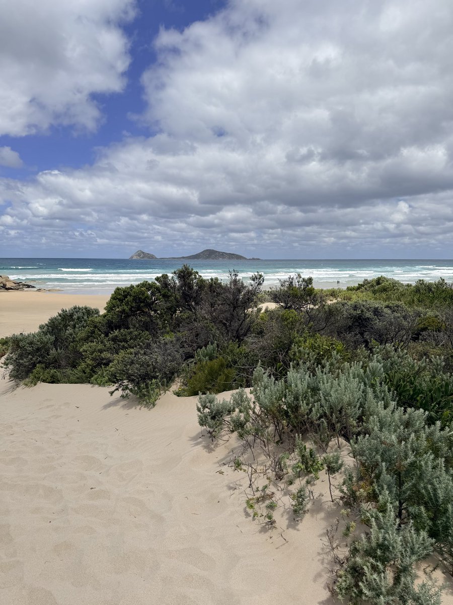 Jasmin ᵕ̈ tweet media