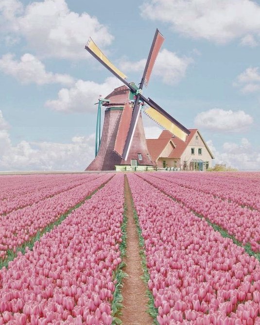 友達が冷たい 👩‍👦‍👦