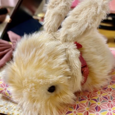 MofuiCl_'s tweet photo. #新しいプロフィール画像 https://t.co/IjGmWJCnUL