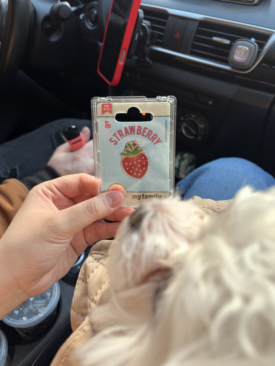 my bf got me a dog tag with my name on the back

what does this mean ….