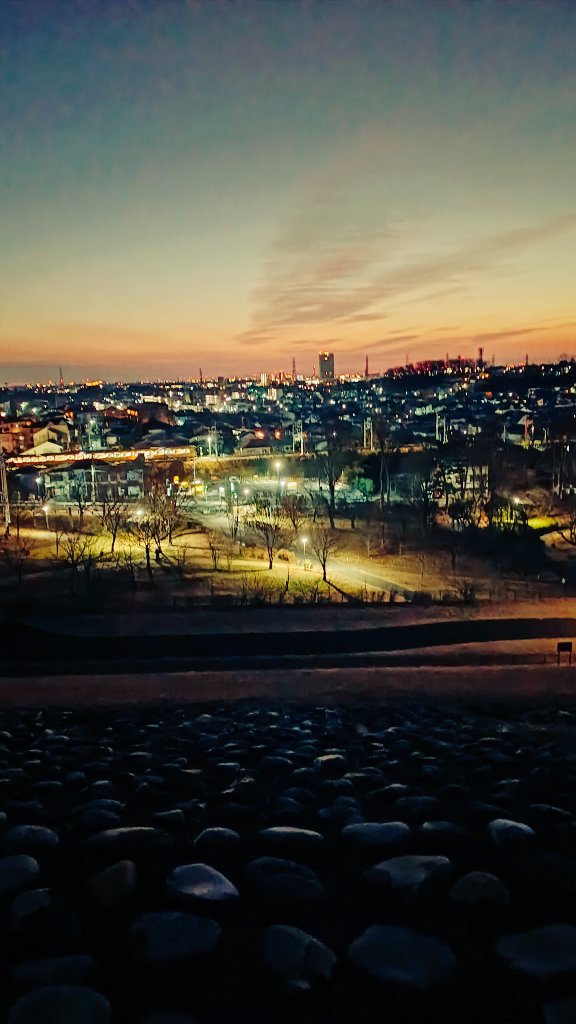 今年最後の日の出を見に多摩湖へ
多摩湖堰堤から見る夜明け前の東村山がいちばんエモくて好きです
#ミニベロ #tern #ゆるポタ #自転車と街の融合点