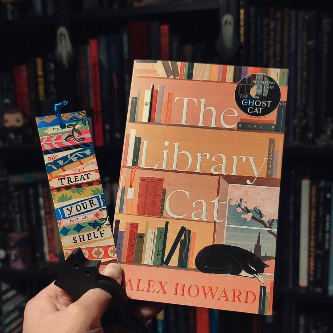 Batica Moomin 🦇 tweet media