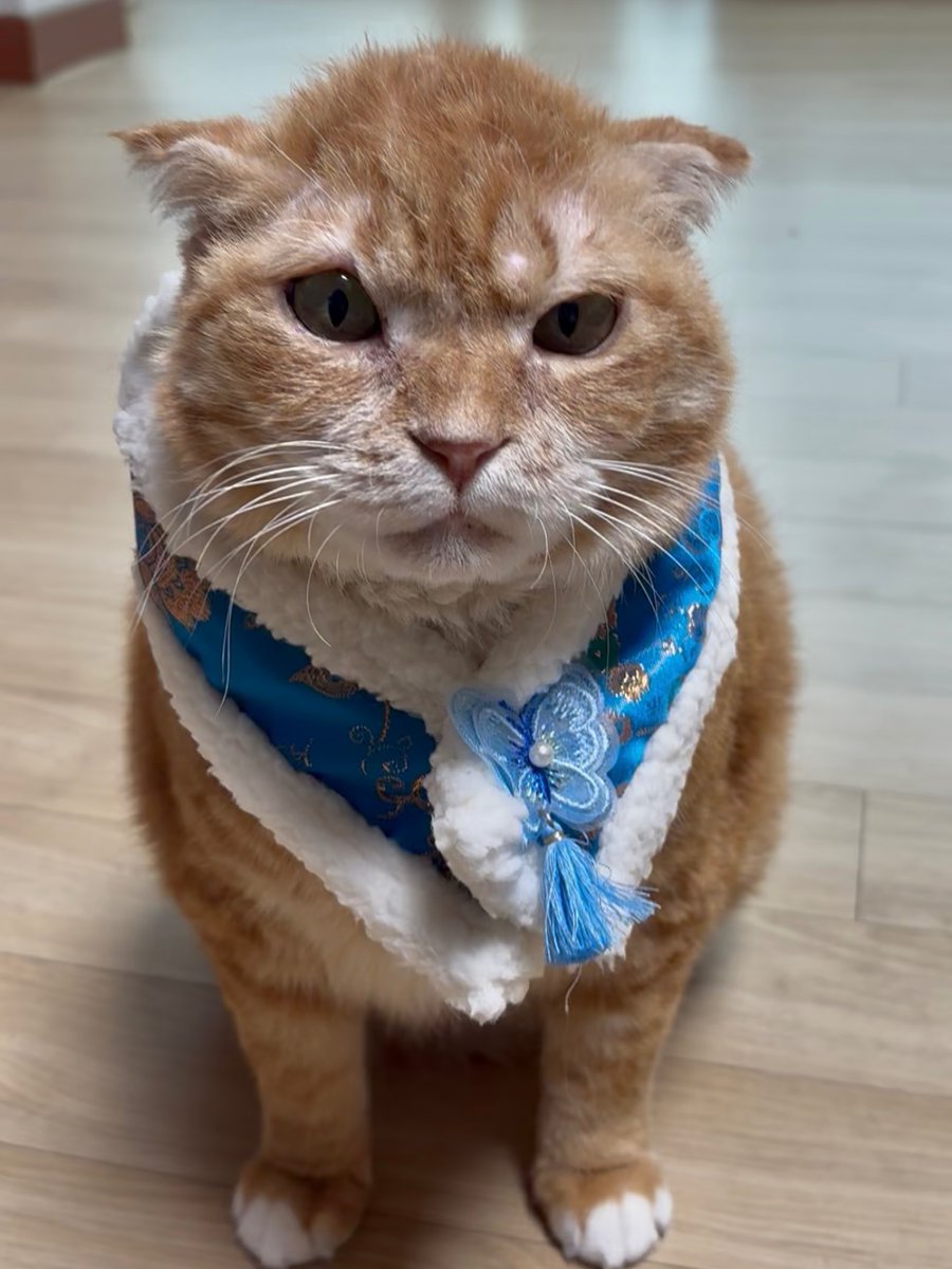 안녕하세요! 
2025년은 솔담톡으로 힘든 한 해였으나, 냄군를 사랑해주시는 분들이 건네주신 마음 덕분에 버틸 수 있었습니다.
연예인도 아닌데 너무 나대는 것 같아 죄송하지만, 그래도 많은 분들께 꼭 감사인사 전달드리고 싶어서.. 
정말 감사합니다 !! 새해 복 많이 받으세요 m(_ _)m ♡