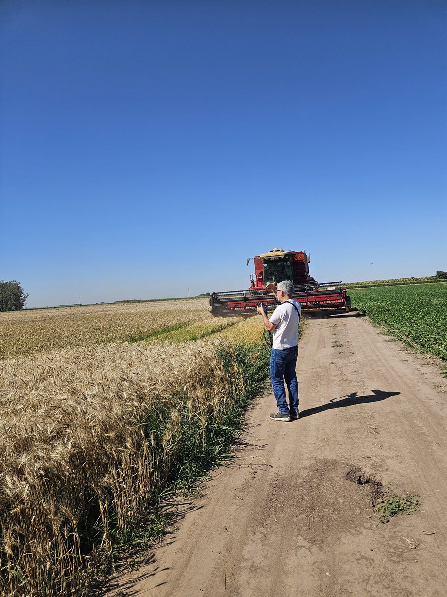 Último vuelo 10 minutos antes de la cosecha! Gracias Javier portillo por acompañarnos con los vuelos!
<a href="/IntaPergamino/">INTA Pergamino</a> <a href="/intaargentina/">INTA</a> 
<a href="/NicolePretini/">Nicole Pretini</a> <a href="/FerGGonzalez73/">Fernanda Gonzalez</a> <a href="/GiulianaFe6/">Giuliana Ferrari</a> 
Se viene un 2026 con muchos datos para analizar!!