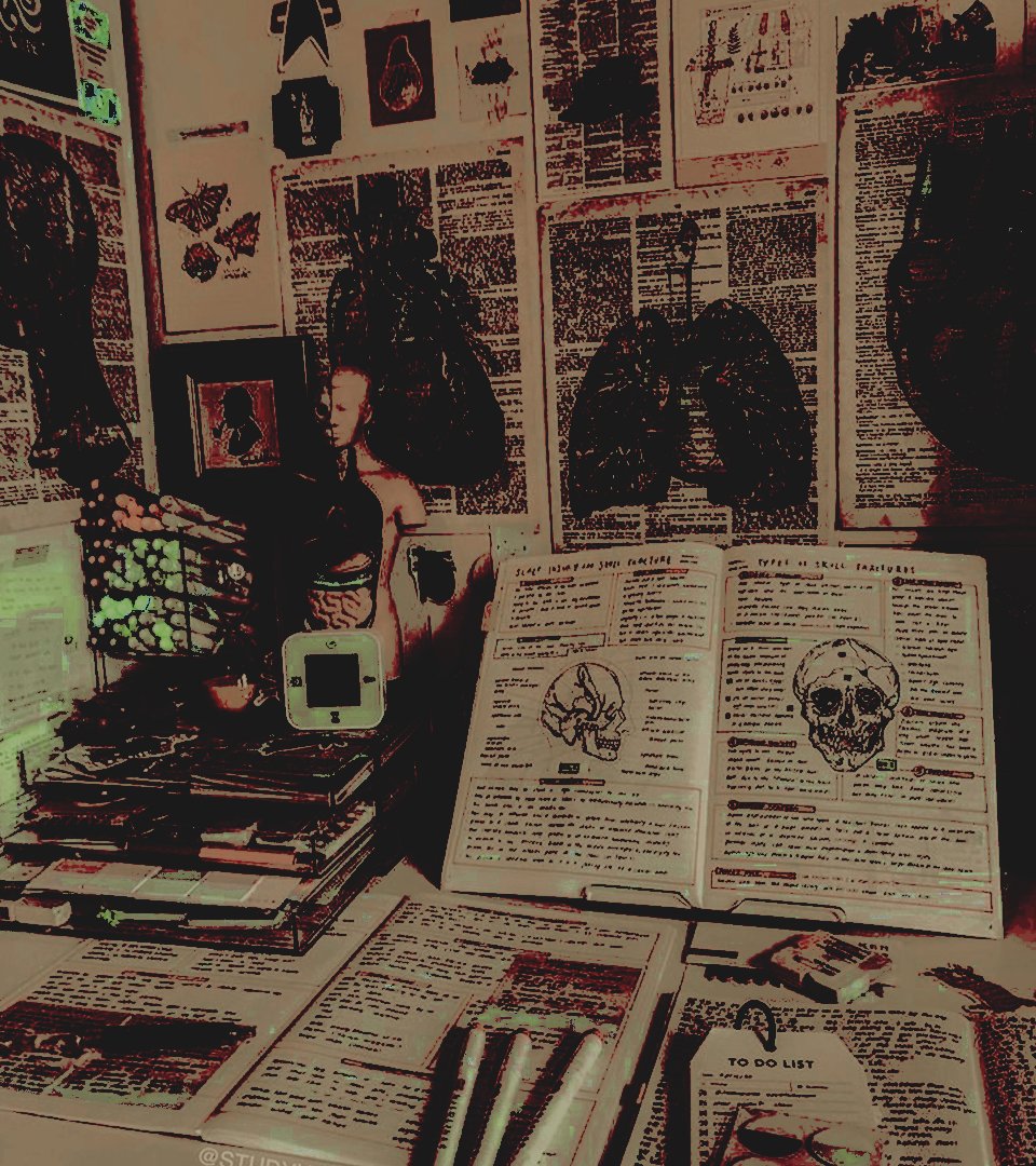 gentletriage's tweet image. 