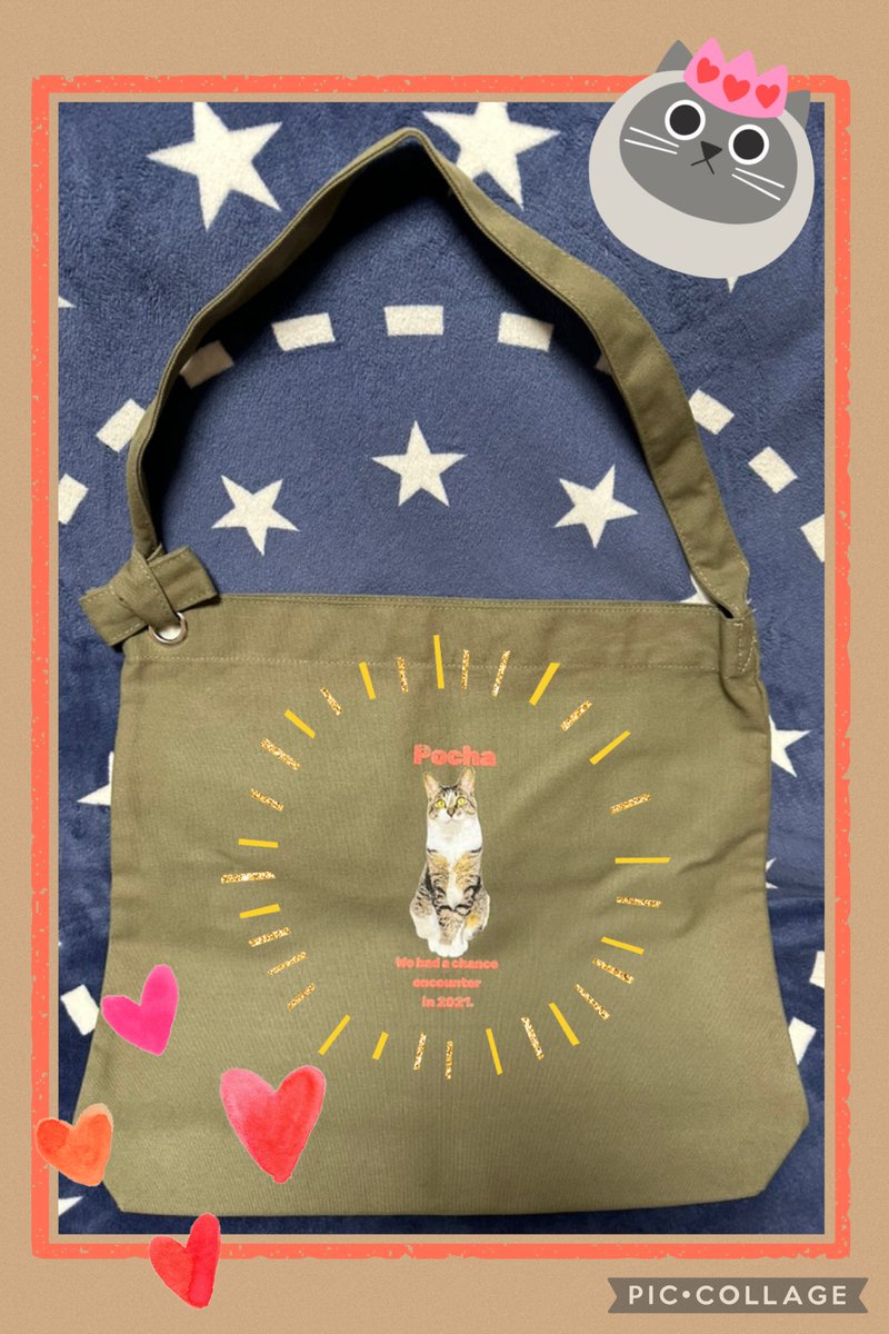 lesetoiles76's tweet photo. 梨友ぽちゃ君🐱の新作グッズ
ビッグショルダーバッグ届きました！
ビンテージ風の加工がおしゃれ✨内ポケット付きで外出先で室内に入った時に脱いだアウターを入れるのに便利！！たくさん使わせてもらいますᐠ( ᐢ ᵕ ᐢ )ᐟかわいいグッズありがとうございました😊来年も楽しみにしてます♪
#梨友 https://t.co/ej356gqyF0