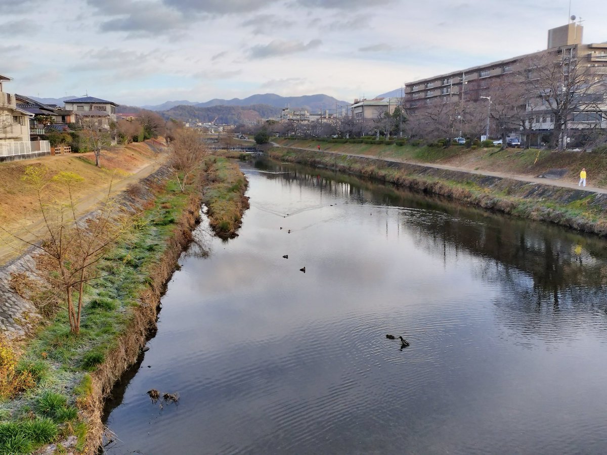 ryosuke_hat's tweet image. 高野川散歩
明日には大混雑の下鴨神社も今日はまだ静か