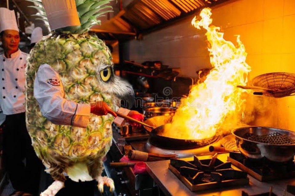 2025 Vs. 2026

Jeets out Hoot it