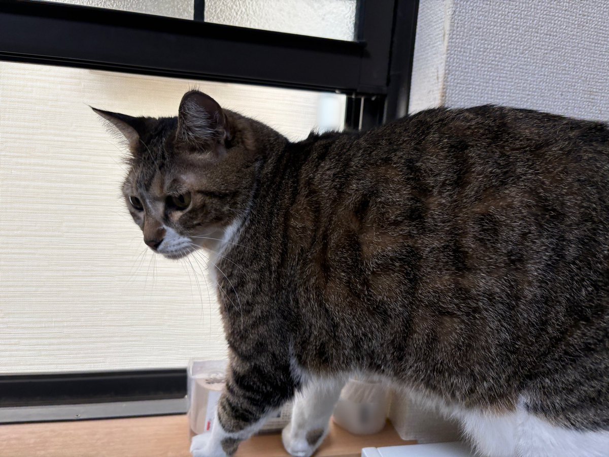 フウカ (@OZ6EpYQlciPRCpO) / Posts / X