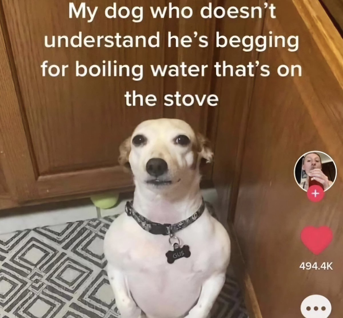 straight female friend told me she wishes she could date twinks like i do bc she thinks they’re so cute