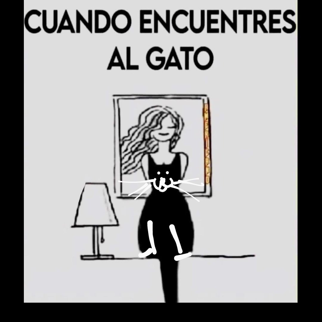 🎶jartitoDpolitiqueo🐾 tweet media