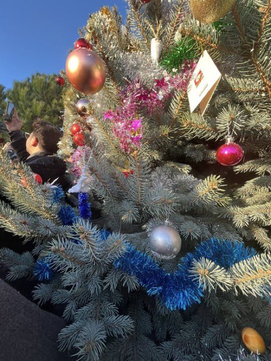 🔻Yıldız Teknik Üniversitesi’ndeki yılbaşı ağacına Şeyh Sait asıldı.