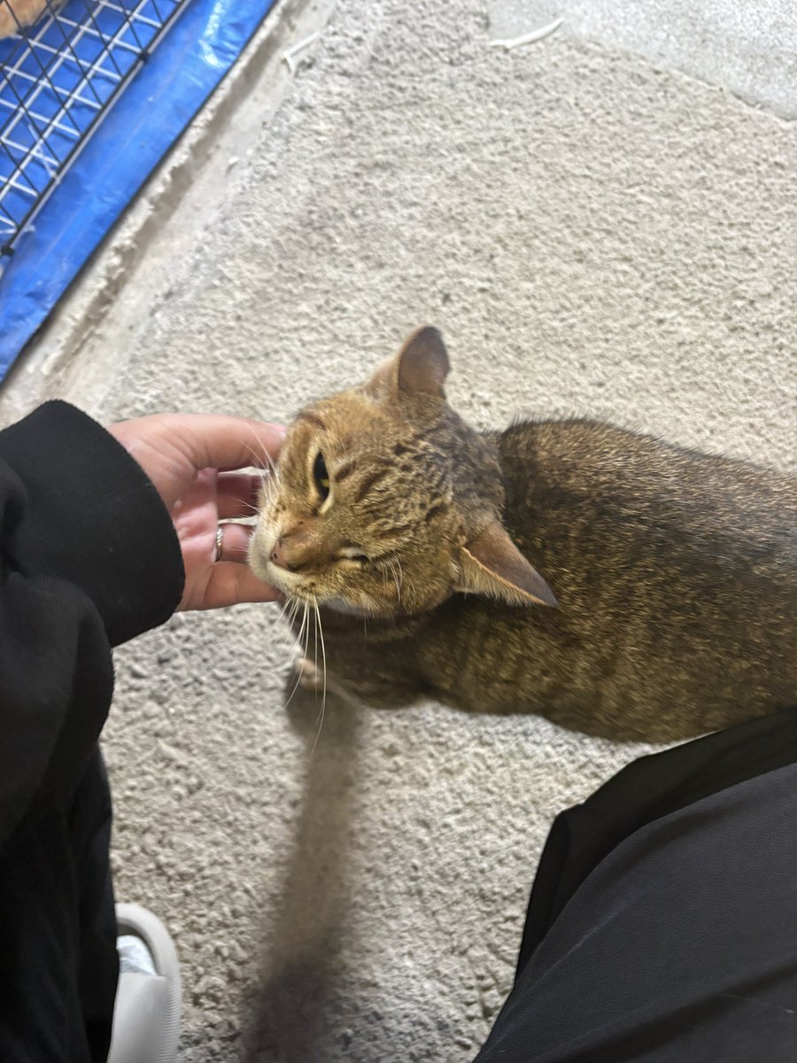 あんみつ🍓 (@anmi2v) / Posts / X