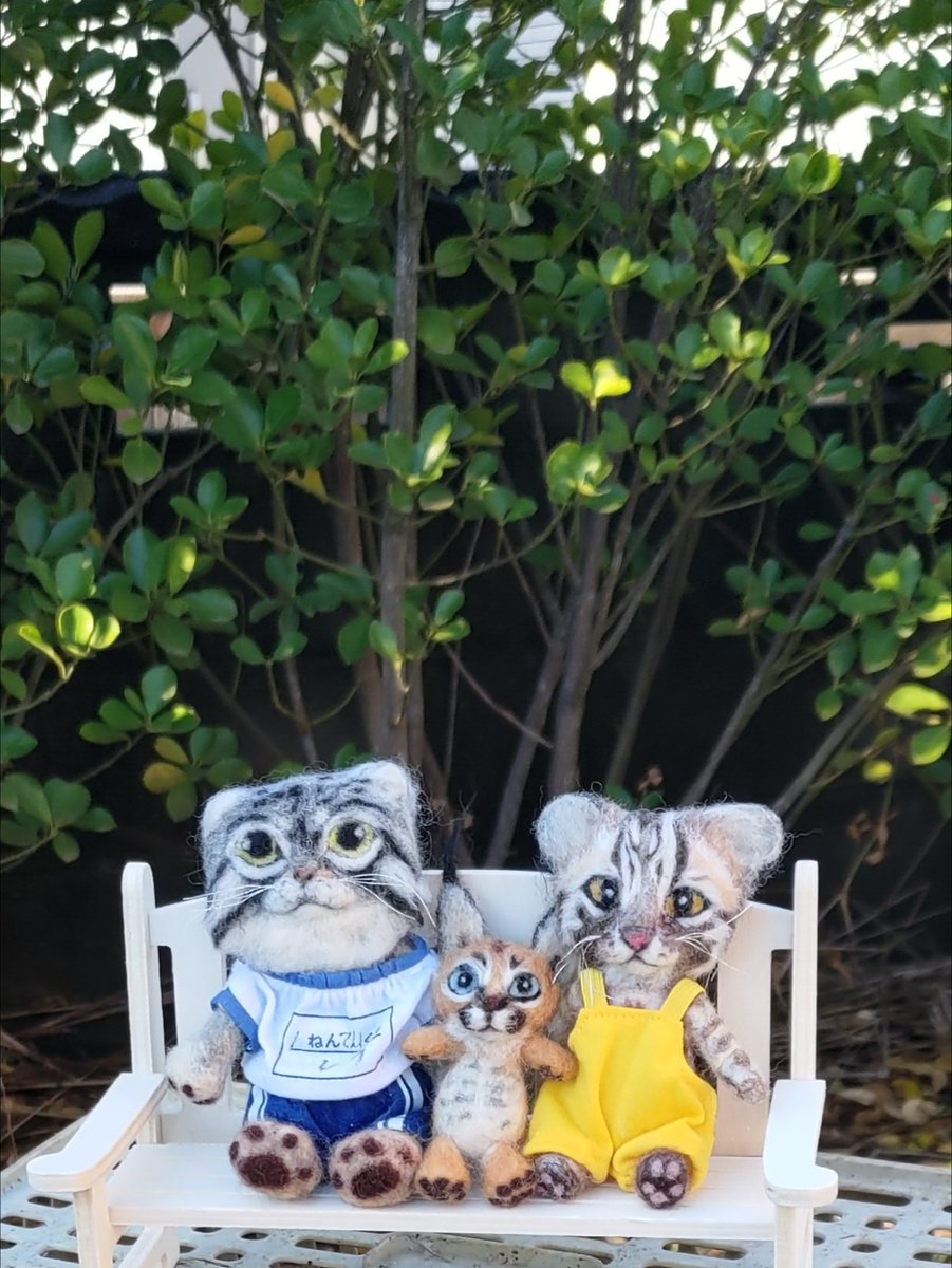 タイムラインに流れてくる動物たちの姿を見せていただき
ありがとうございます✨
脚腰不調の身には
大変有り難く感謝おります🙇‍♀️

また
羊毛フｴルト作品をご覧いただき励みになり感謝の気持ちでいっぱいです✨
ありがとうございます☺️

🌅
良いお年をお迎え下さい　
平穏無事な１年になりますように🎍