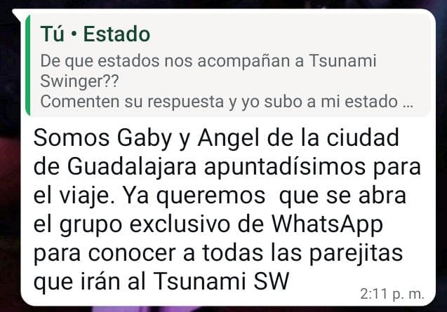Tsunami Swinger tweet media