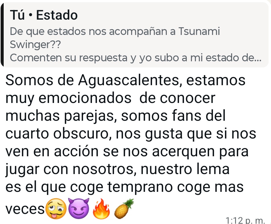 Tsunami Swinger tweet media
