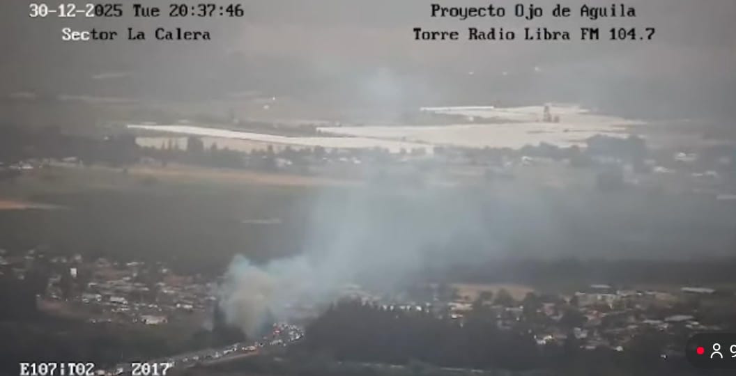 #AHORA: Incendio forestal en la Ruta 5 norte a la altura de Kilómetros 100 camino alternativo.