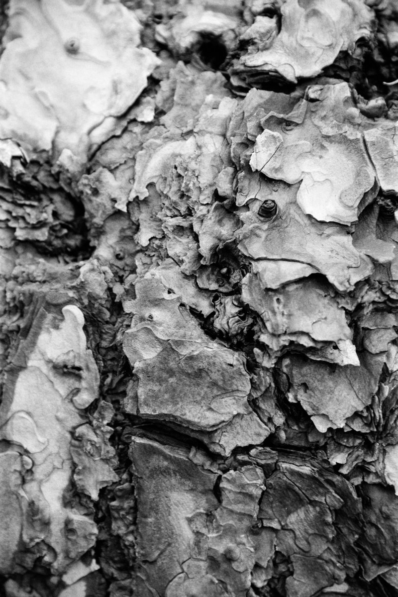 Pactagon's tweet photo. やはりテクスチャーなら黒白の方がいい。

Canon 1v
Sigma ART 24-105mm f/4 DG OS HSM
Ilford HP5 400 x Ilfotec DD-X

#Canon1v #ilfordhp5 #35mm #35mmfilm https://t.co/c1hiJNNpv3