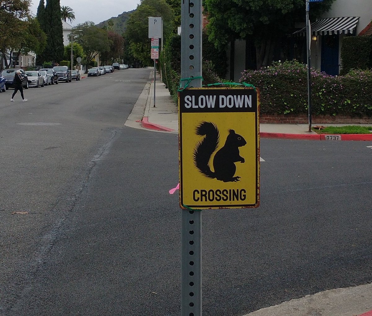 Mark Giffin tweet media