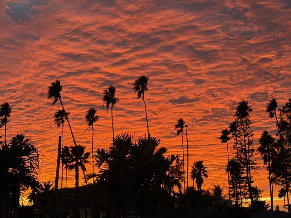 JoeSteelerFan's tweet image. Sky is on fire in #SWFL tonight!  🔥
