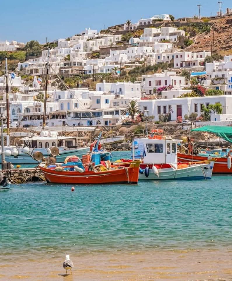 GreeceTours's tweet image. Treat the winter chill with sunlit Greek islands, à la carte plans, ferries, and hidden gems, all curated by AnemosTours.com

Warmth, wonder, and zero stress.

#GreekIslands #WinterEscape #AnemosTours