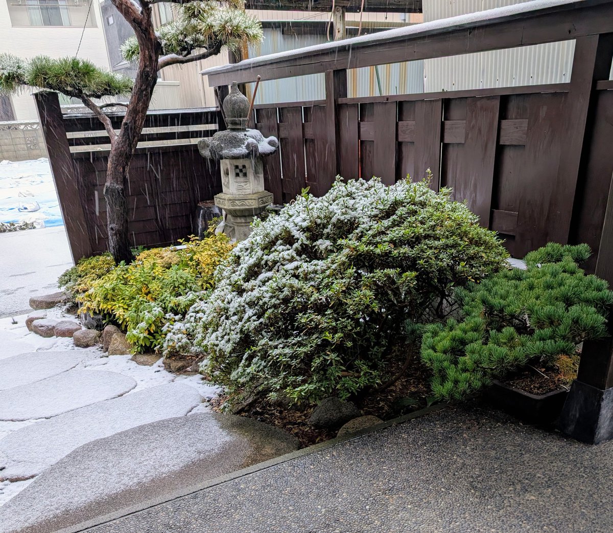 おはようございます😊
新潟は雪の大晦日です
今年も皆様のポストに沢山元気を頂きました
ありがとうございました

来年は待ちに待った周年祭
テンションあげて参ります🤭
皆様　良いお年をお迎えくださいませ