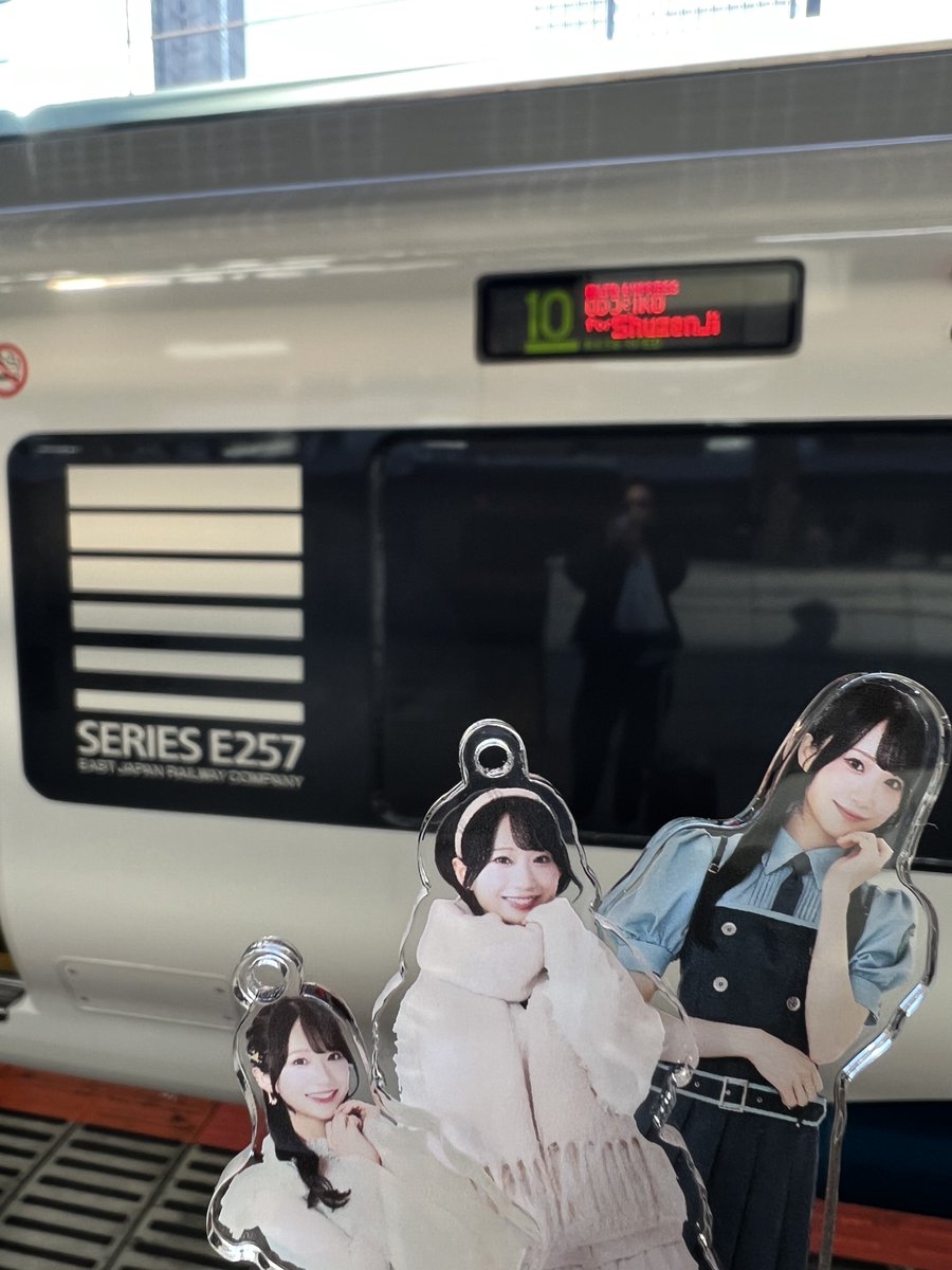 おはようございまきちゃん 踊り子号で三島経由で沼津向かうよまきちゃん