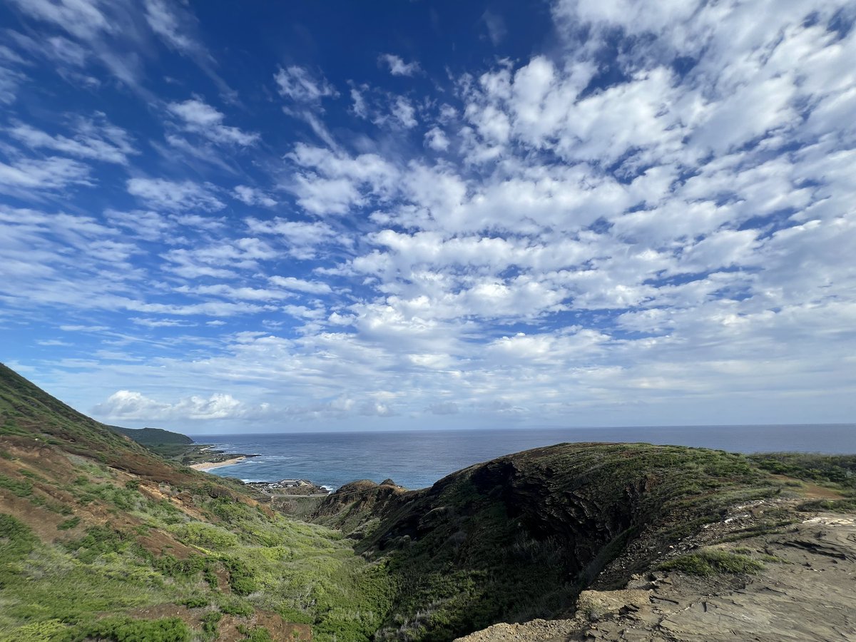 postcard from hawaii ☁️🌺