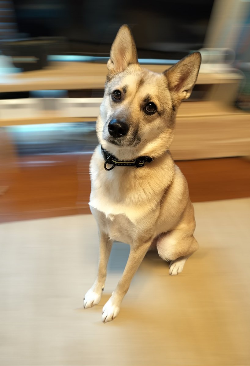 とんすけ (@tonsuke85) / Posts / X