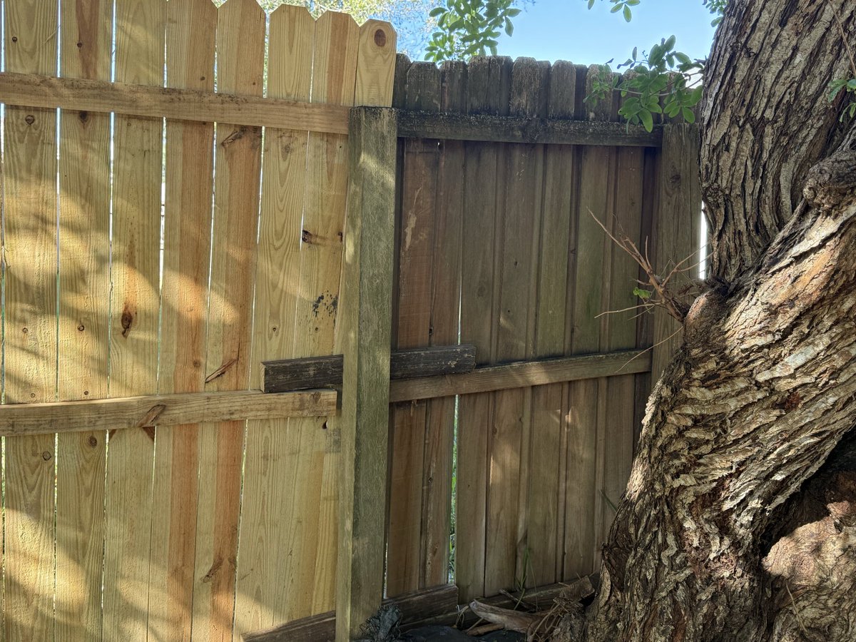 Jane Doe tweet media