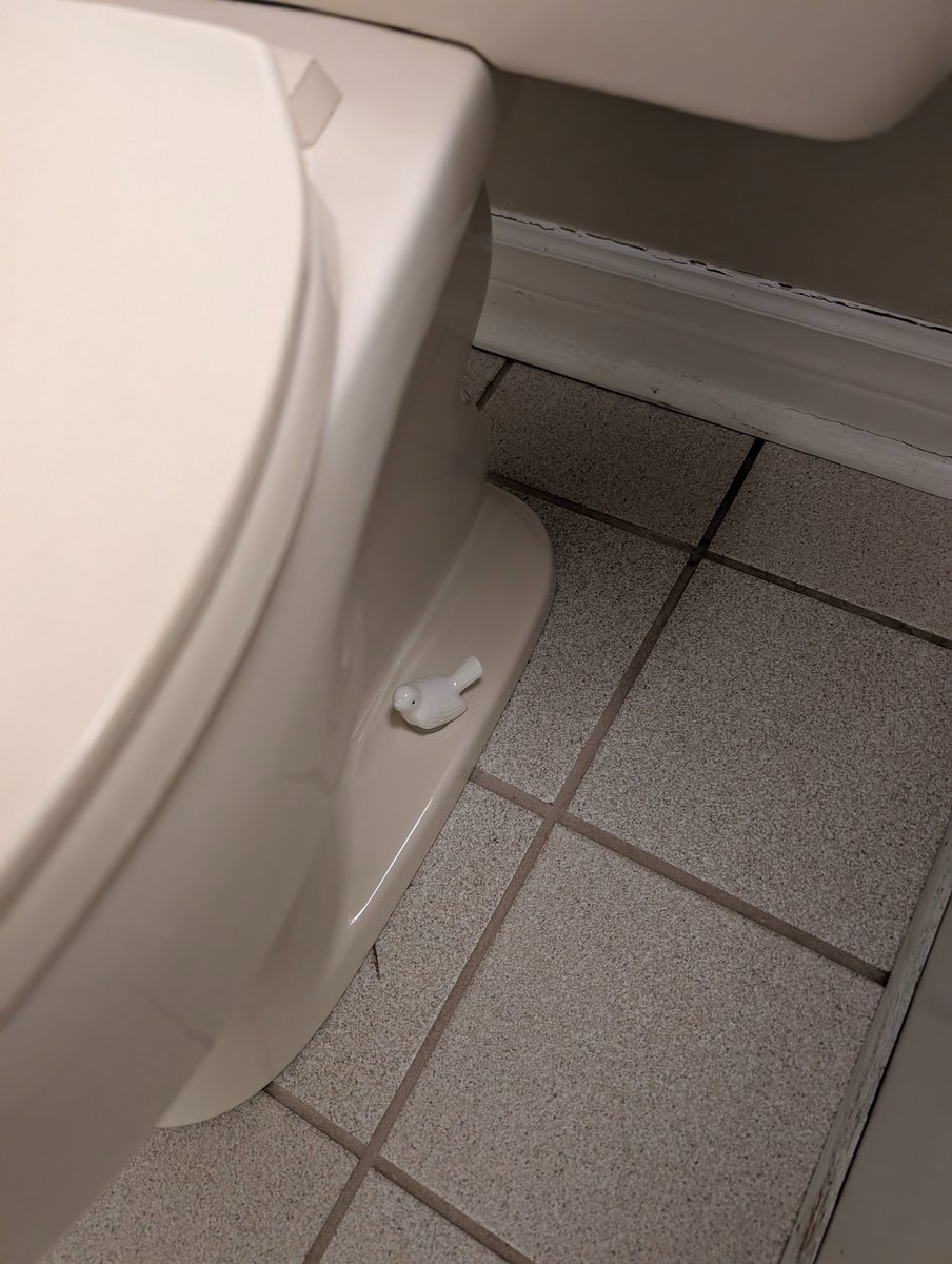 keysmashbandit's tweet image. My mom has a Temu shopping addiction but also has very good taste so things happen such as the bolt covers on the downstairs toilet are small ceramic birds