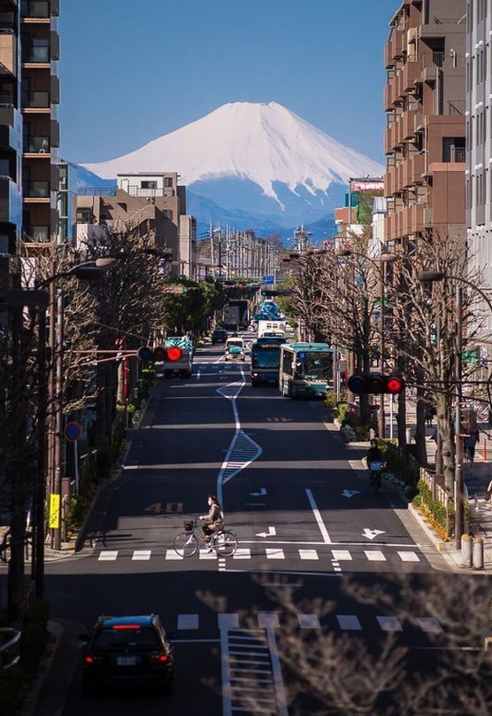 masakingaaa's tweet image. 他人を信じる 🌺