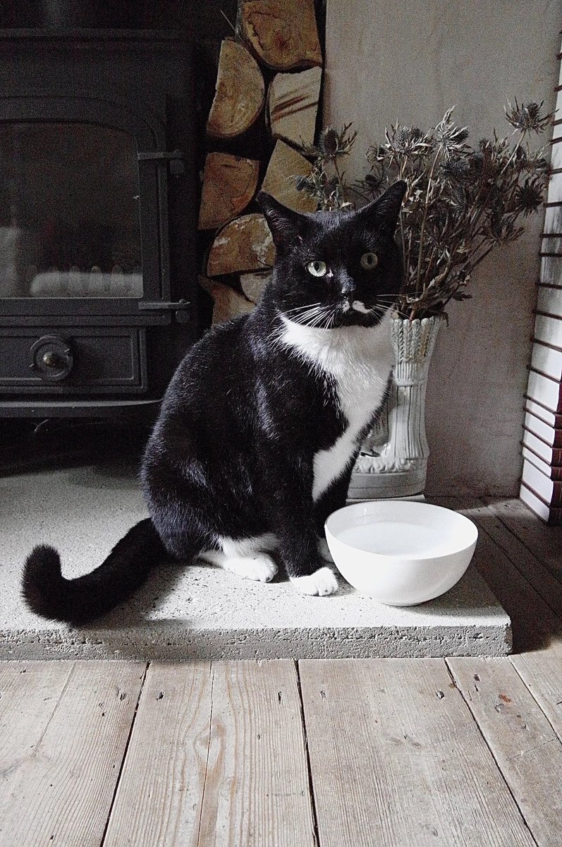 Spitalfields Life tweet media