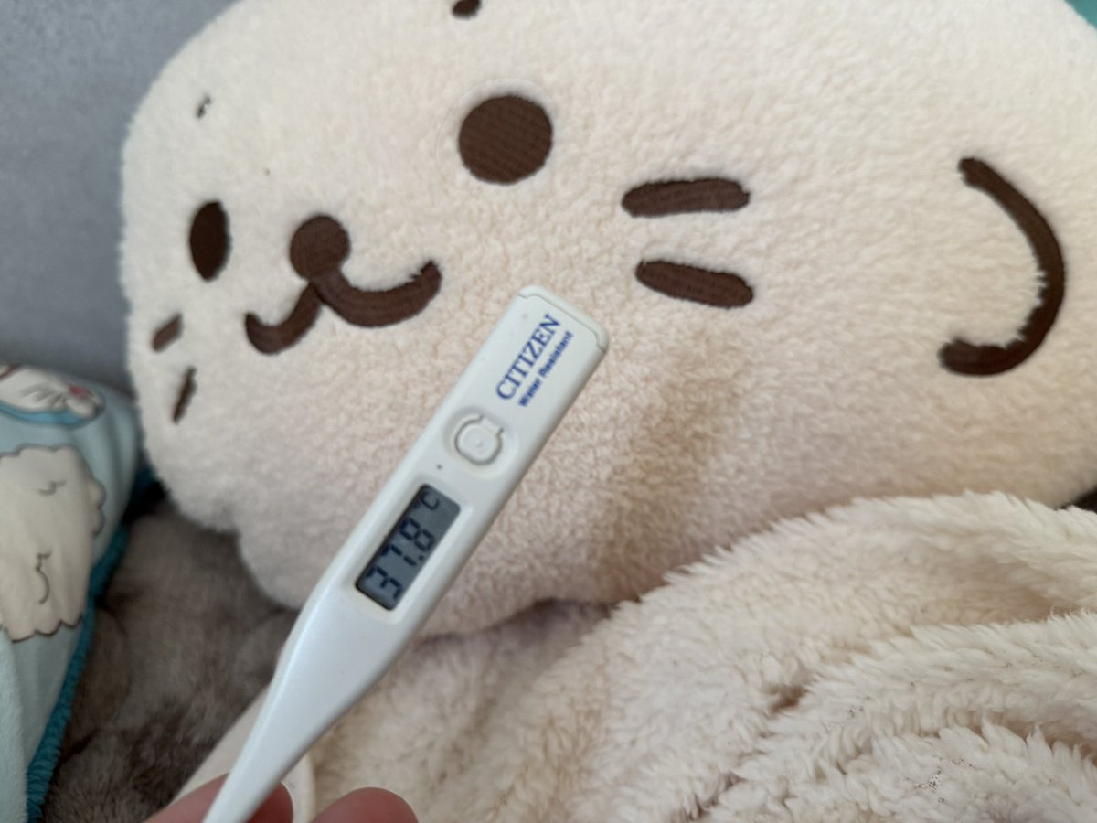 KYO (@KyoChiikawa) / Posts / X